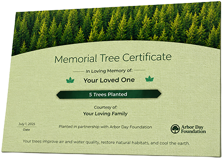 Plant Trees in Memory of David Tyrell Benson